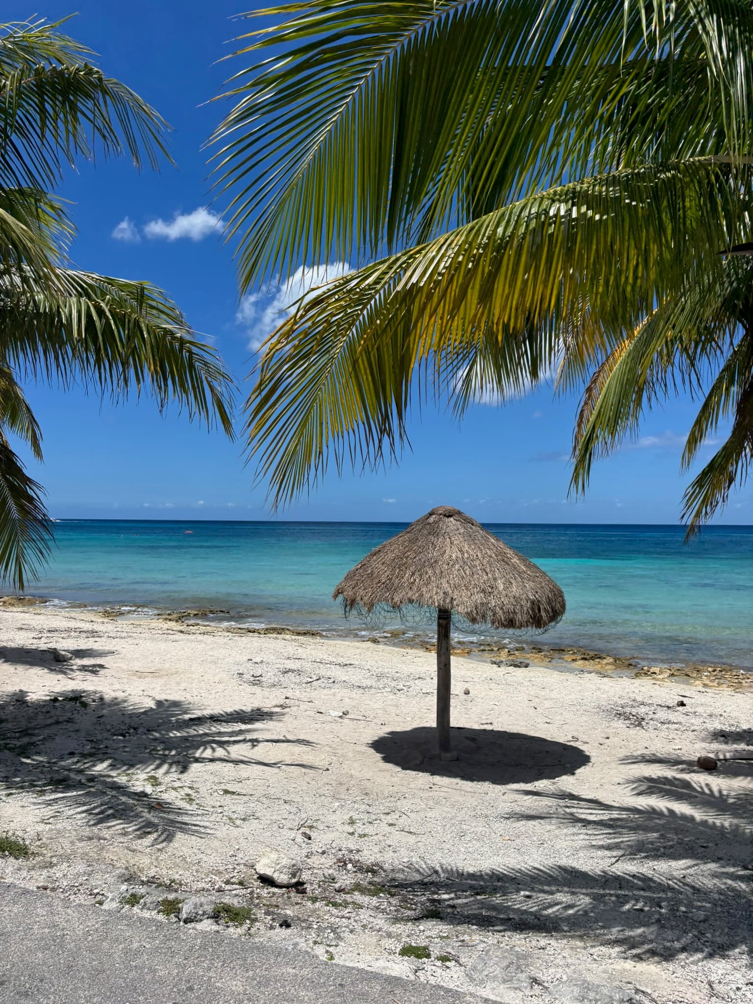 Isla Cozumel